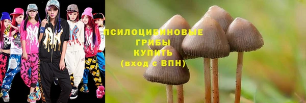 сатива Абаза