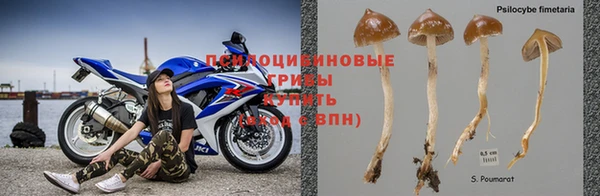 гидра Абдулино