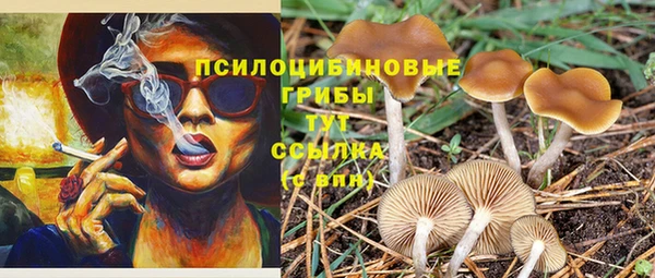 гидра Абдулино