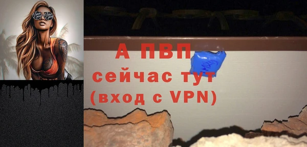 сатива Абаза