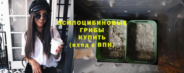 гидра Абдулино