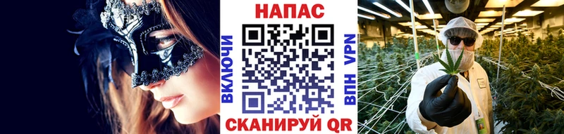 где купить наркотик  Дубовка  Бошки марихуана VHQ 